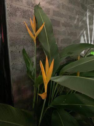 Hotel My Cang Trà Vinh 外观 照片